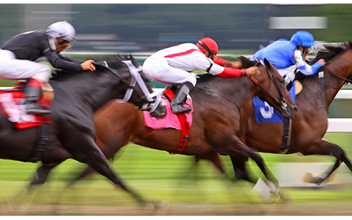 ドバイワールドカップ