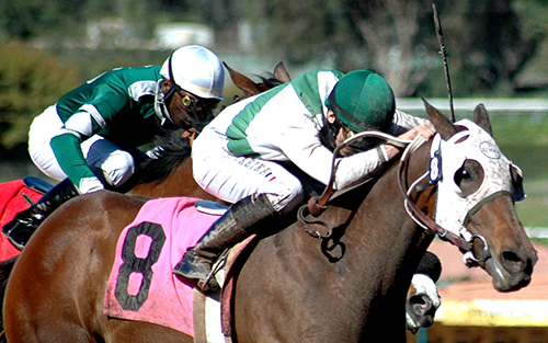 オーストラリアンダービー