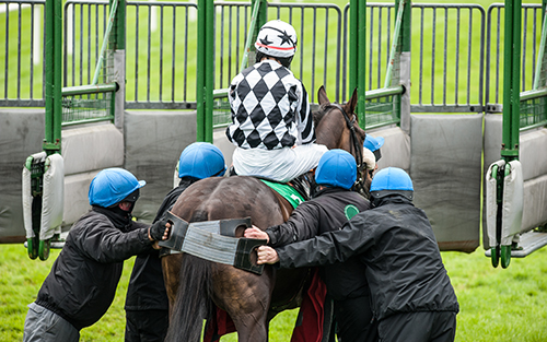 メルボルンカップ